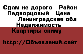Сдам не дорого › Район ­ Педворцовый › Цена ­ 7 000 - Ленинградская обл. Недвижимость » Квартиры сниму   
